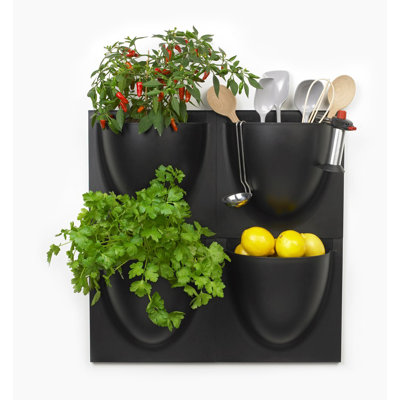 Wall Planter