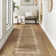 Machine Washable Rug with Rubber Backing Border Design Non-Slip Carpet for Living Room, Bedroom, Dining Room, Office, Playroom