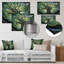 Brances Majestic Canopies I-805974508