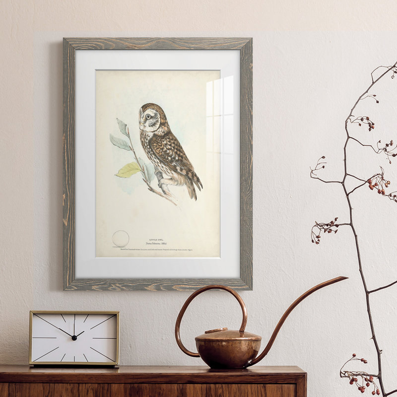 Little Owl Premium encadré mat - prêt à accrocher, H 44 po x l 31 po x P 1 po, Encadré gris