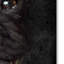 «Black Pug Portrait» de Vidur, impression sur toile tendue-22069123
