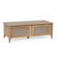 Alefiyah Coffee Table with Storage