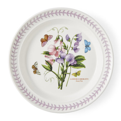 10" Dinner Plates, Set of 6