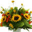 Sunflower and Ranunculus arrangement in Ceramic Vase