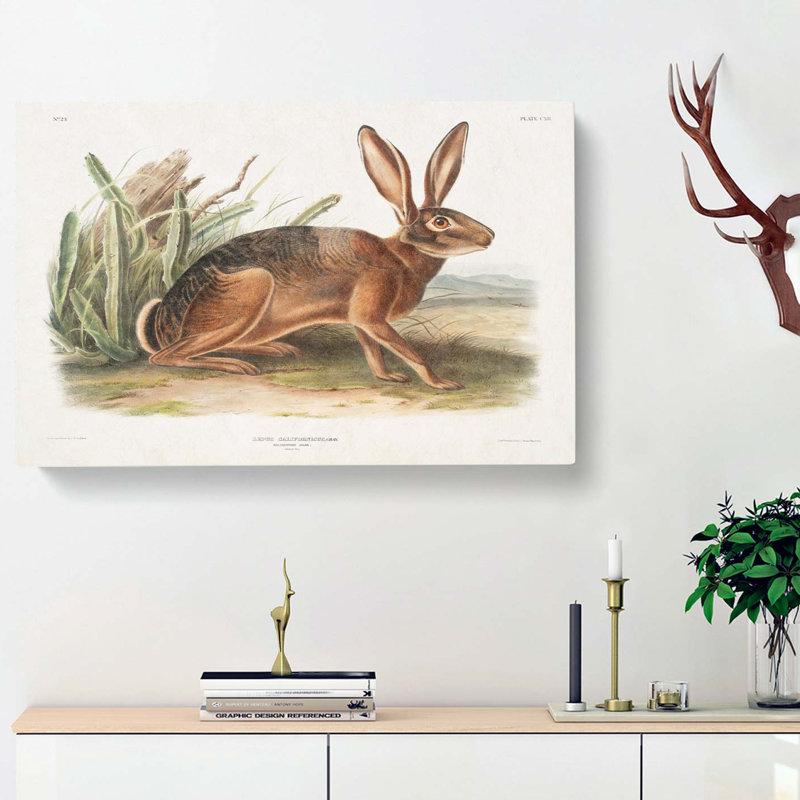 Californian Hare by J.W. Audubon - Wrapped Canvas, 50cm H x 76cm W x 3cm D