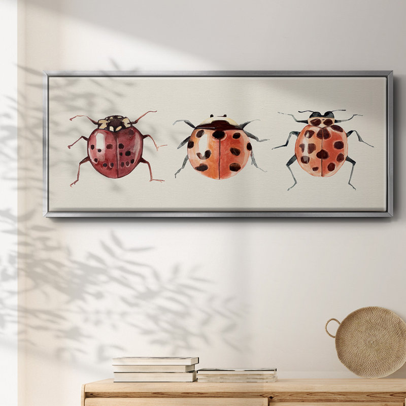 Coccinelle, H 8 po x l 20 po