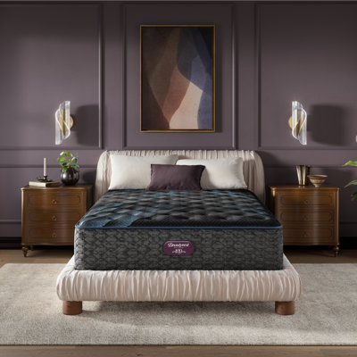 Beautyrest World Class Level Four Plush Mattress by Beautyrest