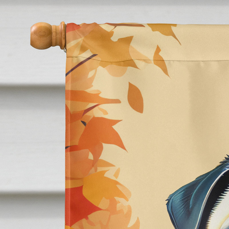 Drapeau de maison en polyester à double face H 40 po x l 28 po