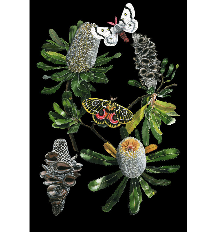 Botany Banksia Chart Print by Thicket Design, 36" H x 26" W