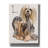 " Lhasa Apso " by Barbara Keith-567932802