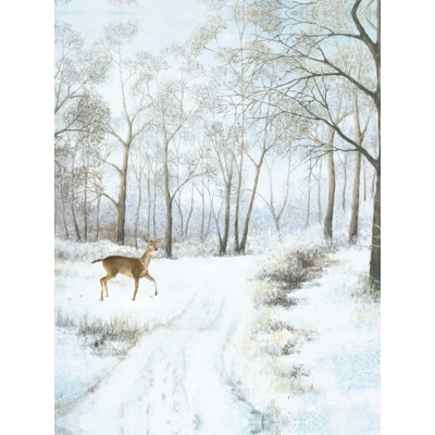 " Doe Walking In The Snow "