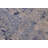 Teaonna Wool Oriental Indoor Rug