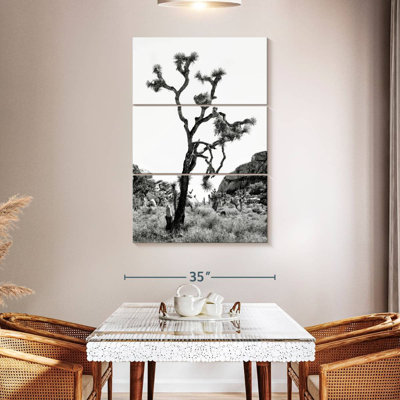 Harnek Black California The Joshua Tree
