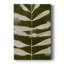 Organic Bloom VI - galerie sur mesure-117723555