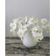 Pink Spotted Phalaenopsis Orchid 22”-20276634-20276635