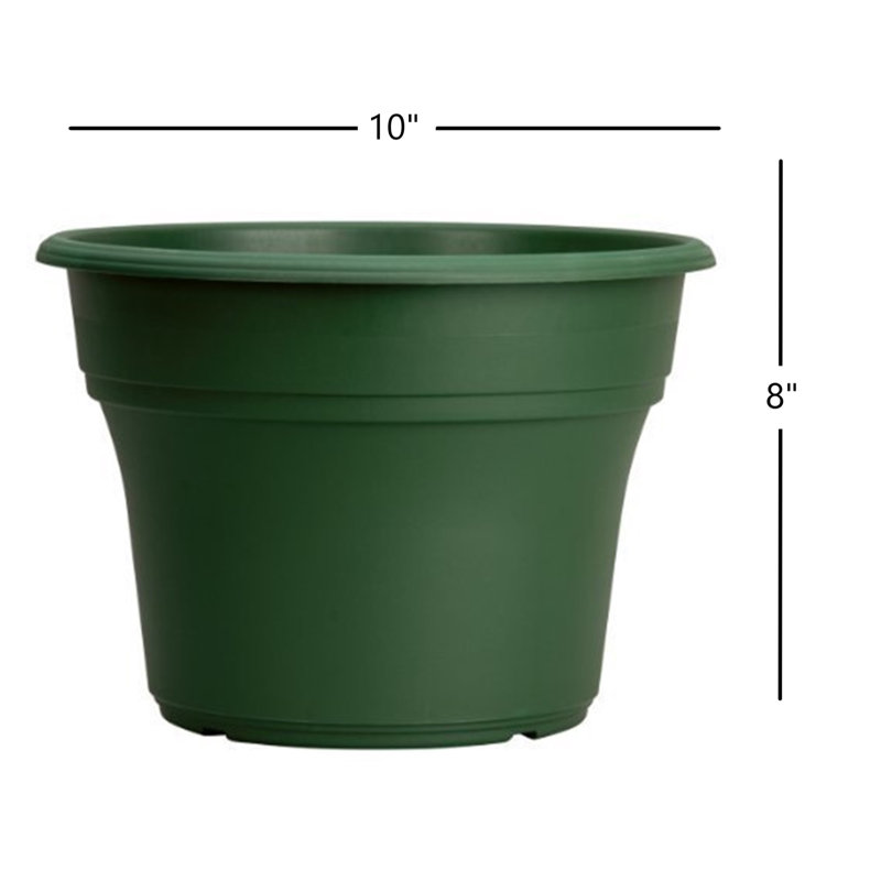Pot Planter, 10" H x 10" W x 10" D