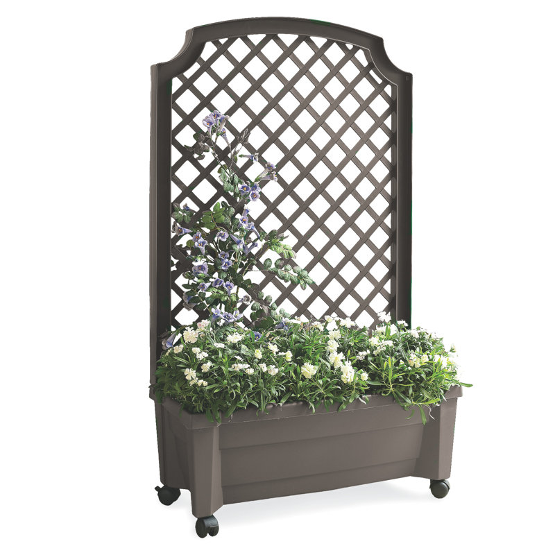 All In One Self Watering Planter Box With Trellis, Anthracite