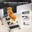 Baignoire de toilettage pour chien 50 po
