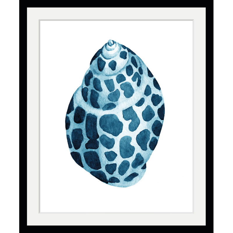 Shell - Single Picture Frame Print