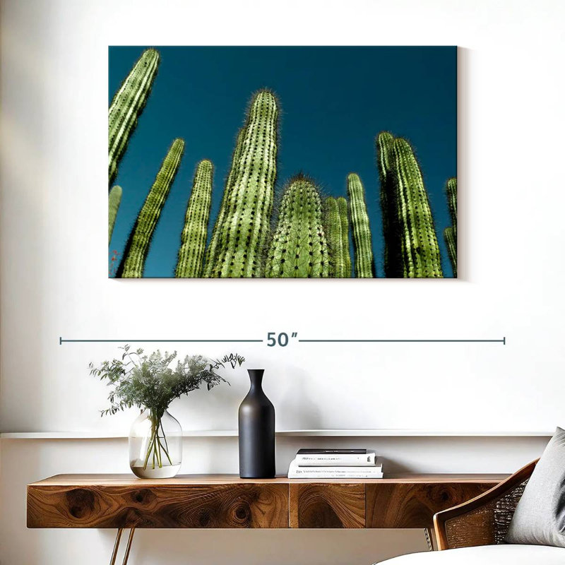 Cactus bleu ciel Harnek, H 26 po x l 39 po