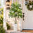 72in Artificial Dracaena Tree with White Planter