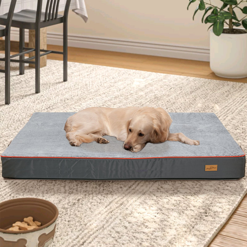 Orthopedic Dog Bed, 10cm H X 90cm W X 120cm D