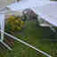 Photos des clients 3 de 3