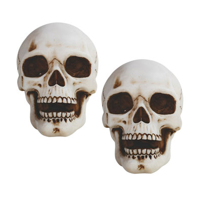 "Figurine de tête de mort ICE ARMOUR" l 4,5 ""