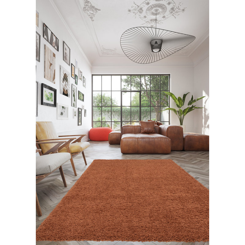 Richmondville Solid Colour Area Rug, Rectangle 120 x 170cm