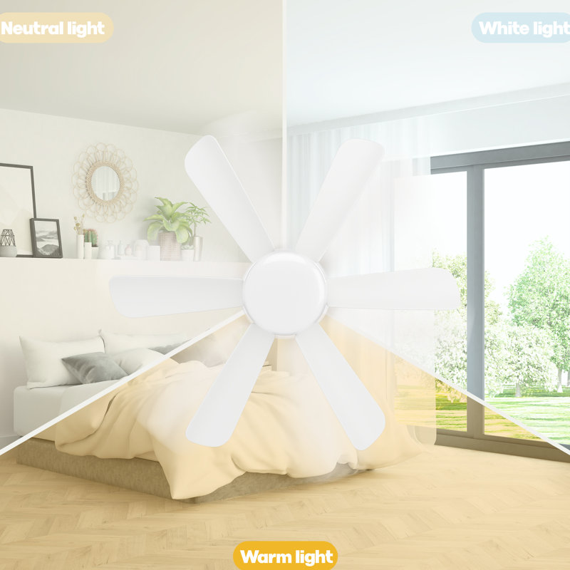 Petit ventilateur de plafond avec lumière, lumière de ventilateur à douille, télécommande pour régler la vitesse du vent et la lumière
