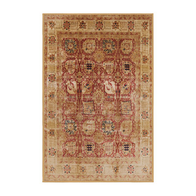 Oriental Indoor Rug