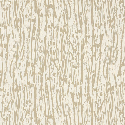 Tree Texture Wallpaper