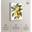 «Lemon and Leaf Fusion I», impressions sur toile par Art Remedy-110304325-110304329