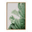 «Plant Study 7» par Alicia Abla, reproduction d'art sur toile encadrée