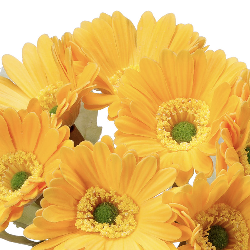 Gerbera Daisy Arrangement, Jaune