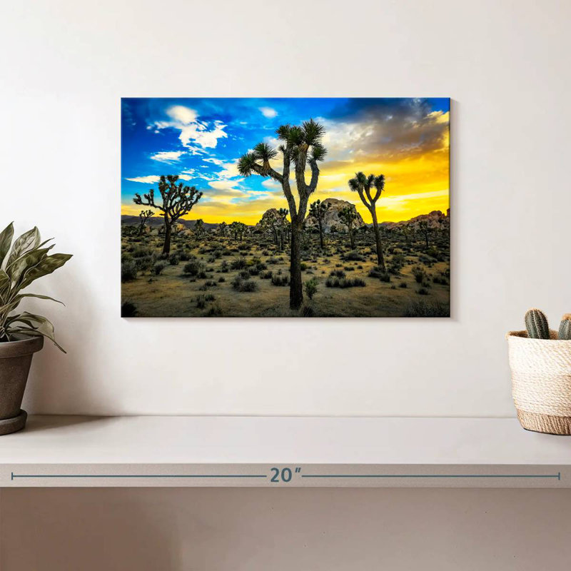 Nicci Joshua Tree Park, H 8 po x l 12 po