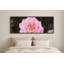 Rose rose en fleurs, art mural encadré-536199060
