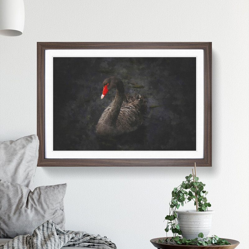 Black Swan - Picture Frame Painting, Walnut Framed, 36cm H x 48cm W x 2cm D