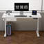 Alstead Adjustable Standing Desk-1615039857-1615039858-1615039861