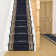 Alsafi Area Rug