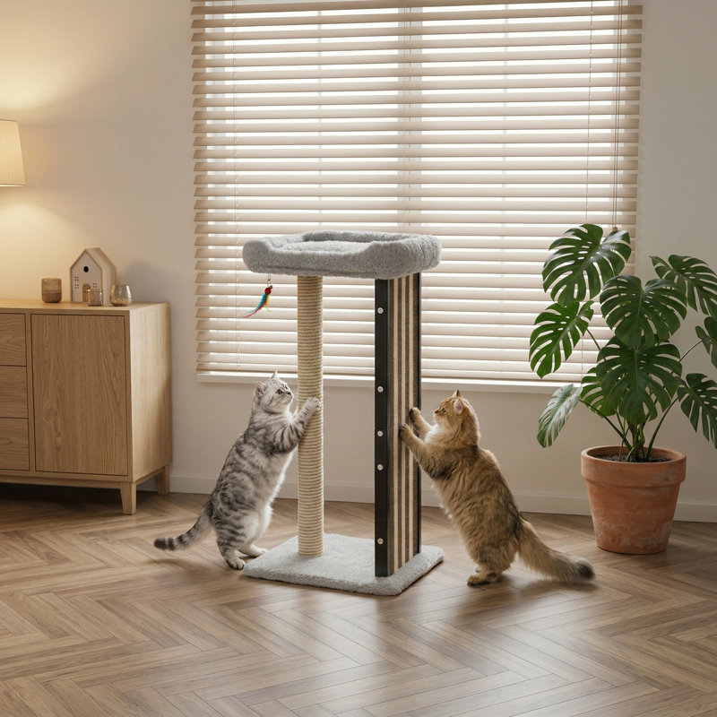 Grattoir 35 pouces pour chat adulte