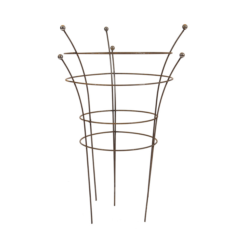 Annadiana Metal Plant Support