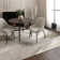 Zeplin Glam Metallic Lustre Pattern Polypropylene Area rug - Bold Contemporary Living & Bedroom
