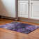 Premium Machine Washable Cerrito AMF590 Purple Rug