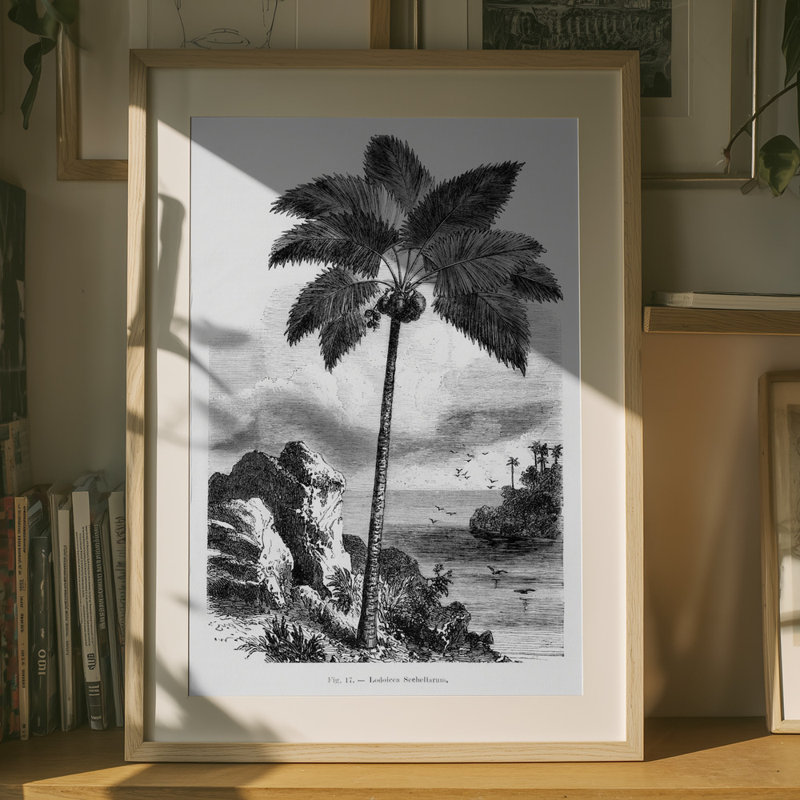 Wrapped Canvas Print, 76.2 cm H x 50.8 cm W