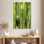 Superposition de cactus Harnek-108442670