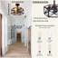 Ventilateur de plafond industriel noir avec lumière 16,5 pouces