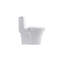 Toilette monobloc Tornado Flush