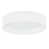 Eggshell