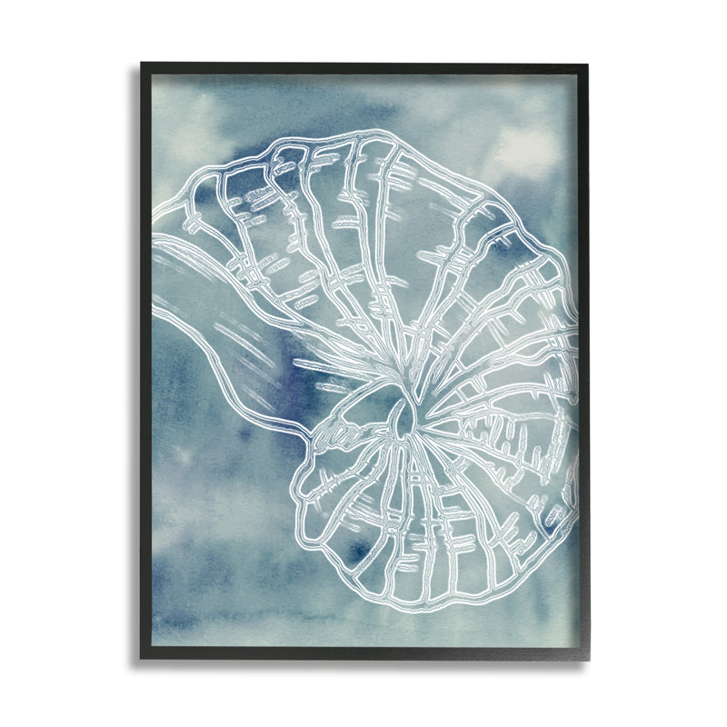 Spirale coquillage Nautilus mer, Giclée encadrée noir minuit, H 14 po x l 11 po x P 1,5 po